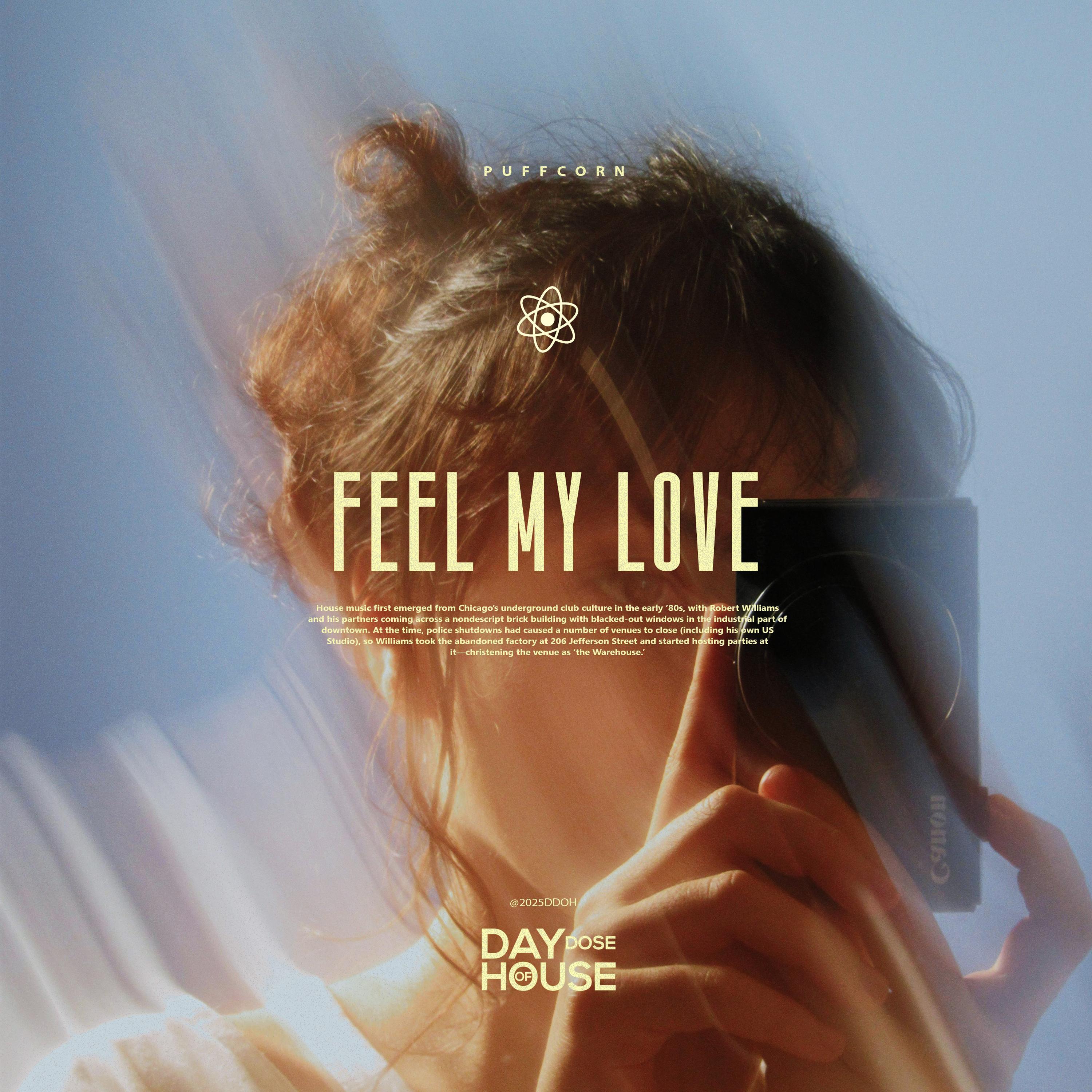 Feel My Love