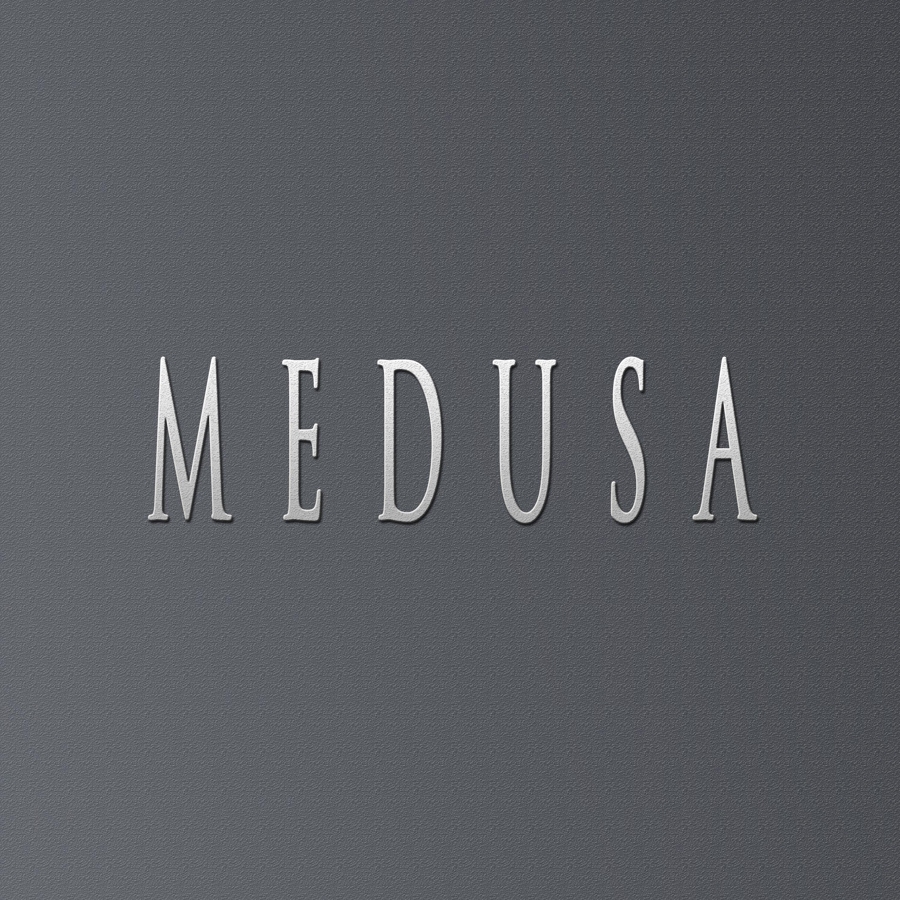 MEDUSA (feat. Herkules Beats)