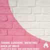 Tommie Sunshine - Brick by Brick (ADR's Let's Build This Acid House Remix)