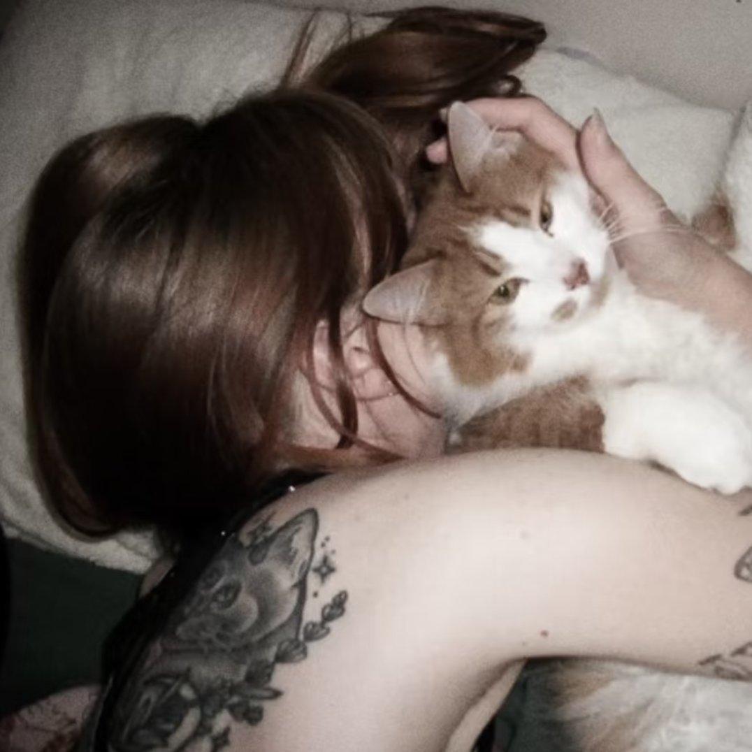 冷艳争春喜烂然