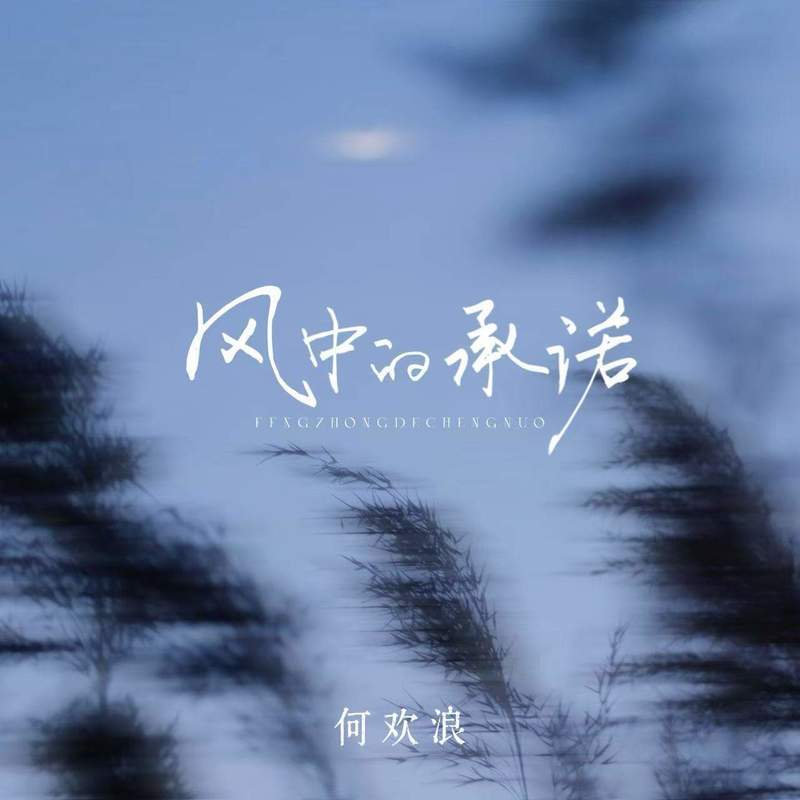 风中的承诺 (伴奏)封面