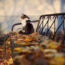 点点滴滴的大大的