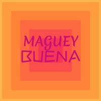 Maguey Buena