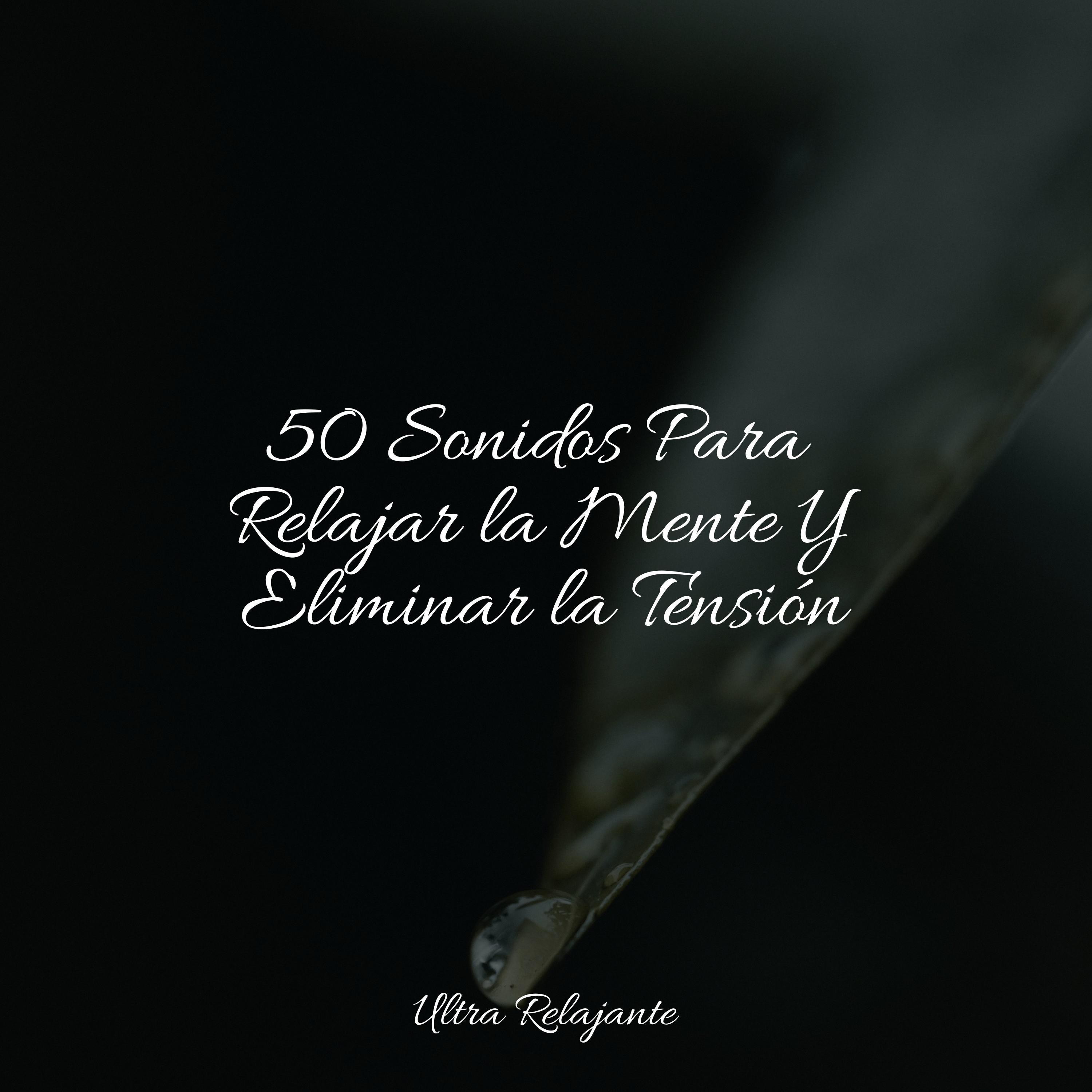 Ola De Calor Brillante