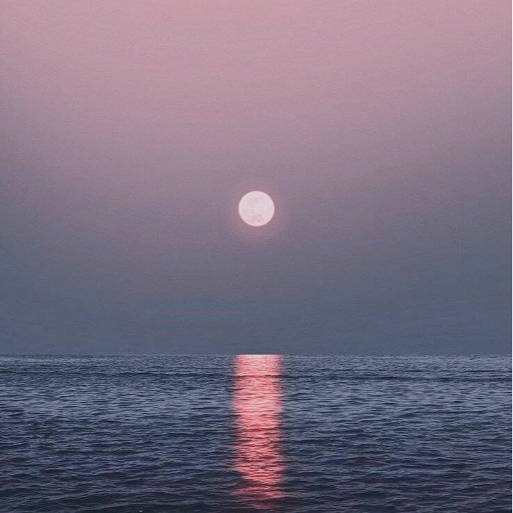 标题未定_island_O— | 在线播放_标题未定歌词_标题未定下载 | 网易云音乐