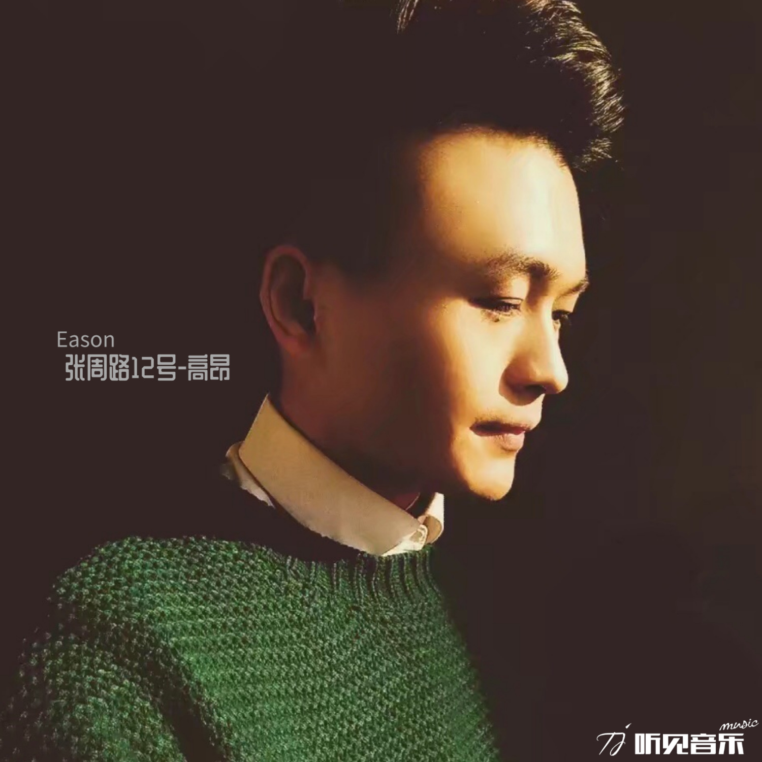 靡靡人生_高昂_张周路12号 | 在线播放_靡靡人生歌词_靡靡人生下载 | 网易云音乐