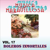 Música Maravillosa Vol. 17 