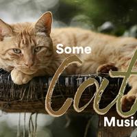 Some Cat Songs