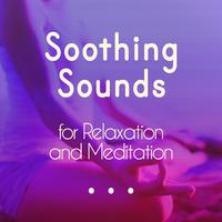 Soothing Sounds for Relaxation and Meditation