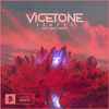 DJ刚仔 - Vicetone-Fences（Garet H remix）