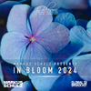 Markus Schulz - Light On (In Bloom 2024)