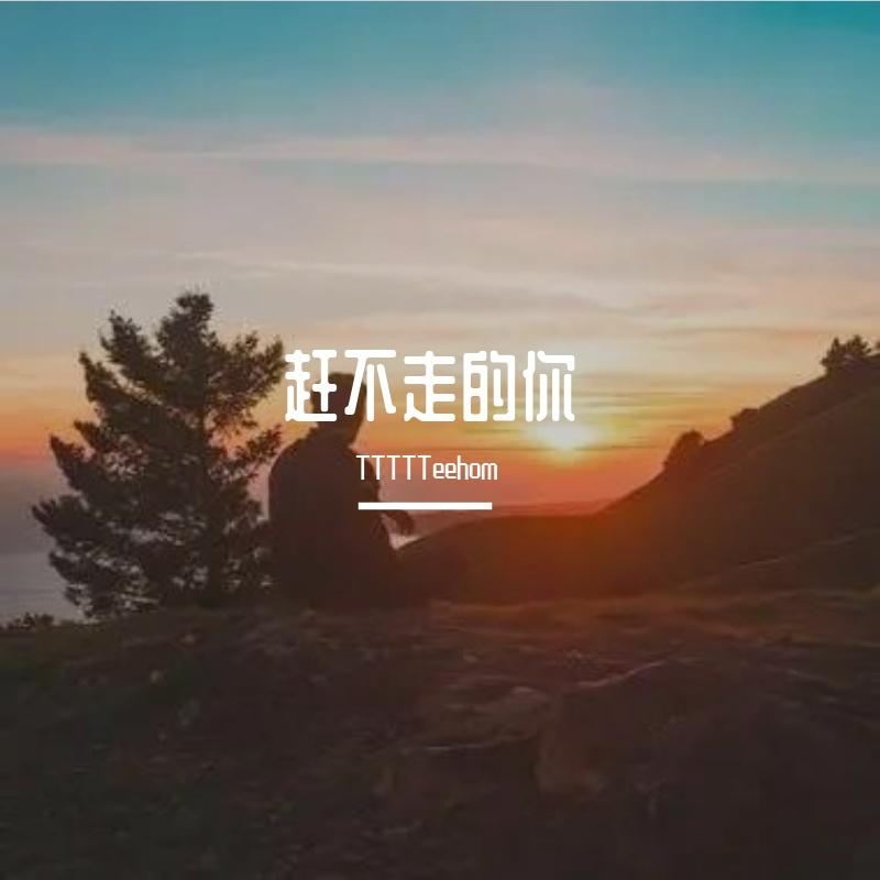 赶不走的你封面