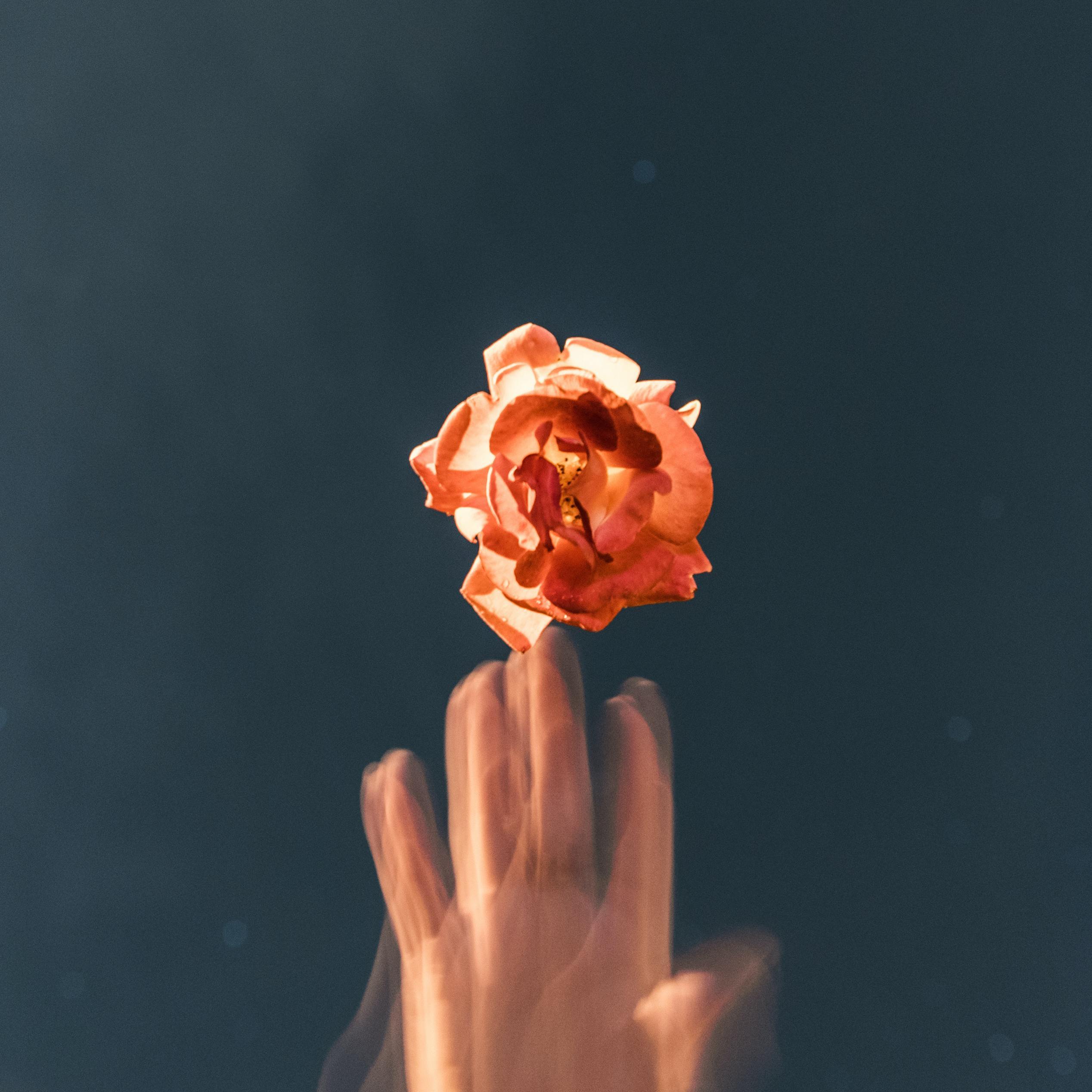 星 - 陈浩昕封面