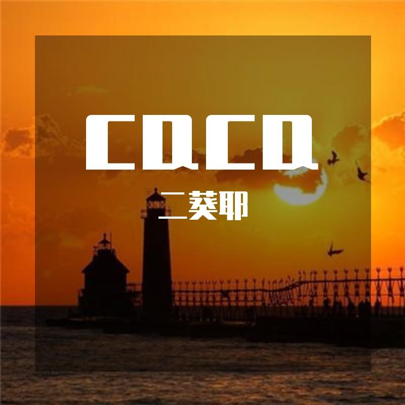 纯音乐-那些花儿~1（二葵耶 remix） - 二葵耶封面