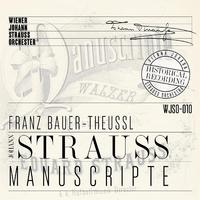 Manuscripte - Historical Recording