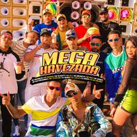 Mega Havezada (feat. MC Brankim, MC Madan, MC Duartt, MC VC, MC Bruno IP, MC M10, MC Henny, Mc Matheuzinho ZN, Mc Th Do Hm & Dj Alvim MPC) (Remix)