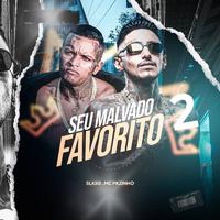 Seu Malvado Favorito 2