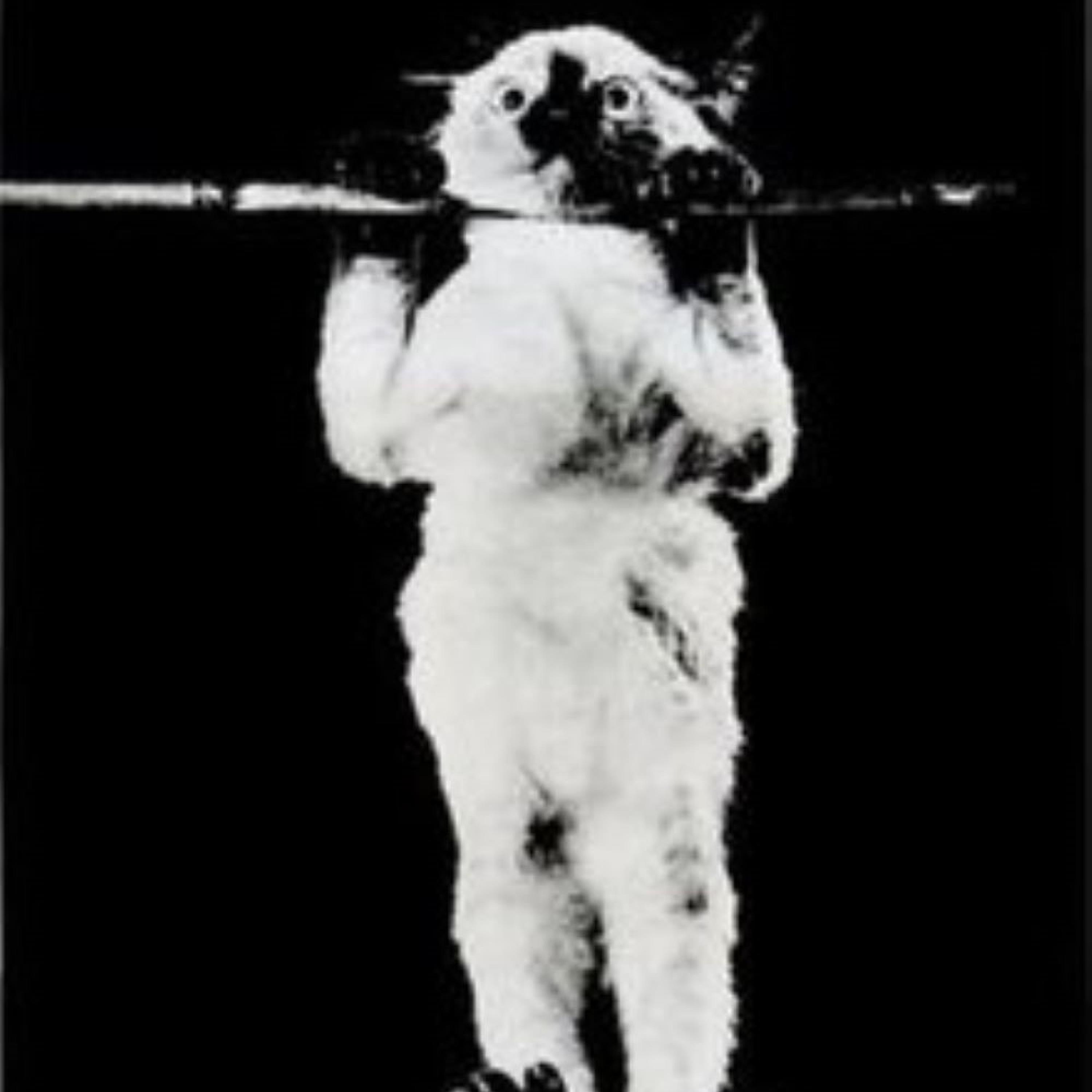 DON'T LET GO! (feat. D-Vine)