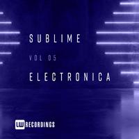 Sublime Electronica, Vol. 05