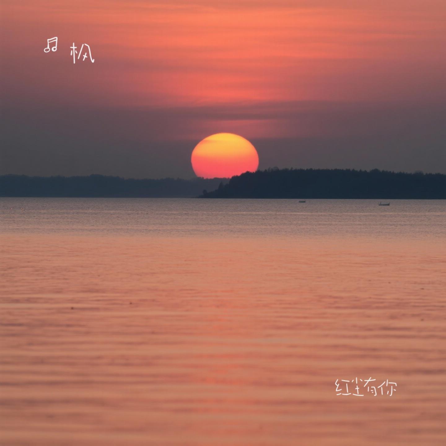 红尘有你封面