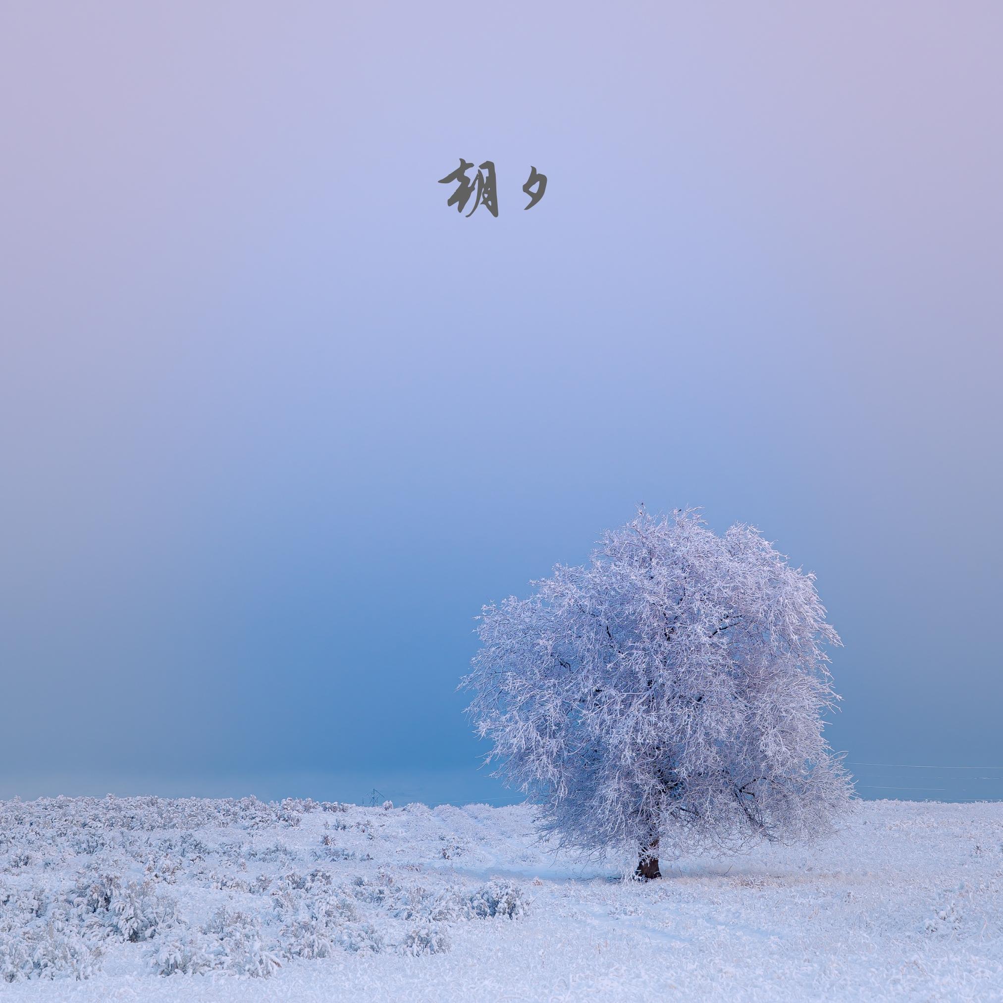 遇见你 (钢琴曲)封面