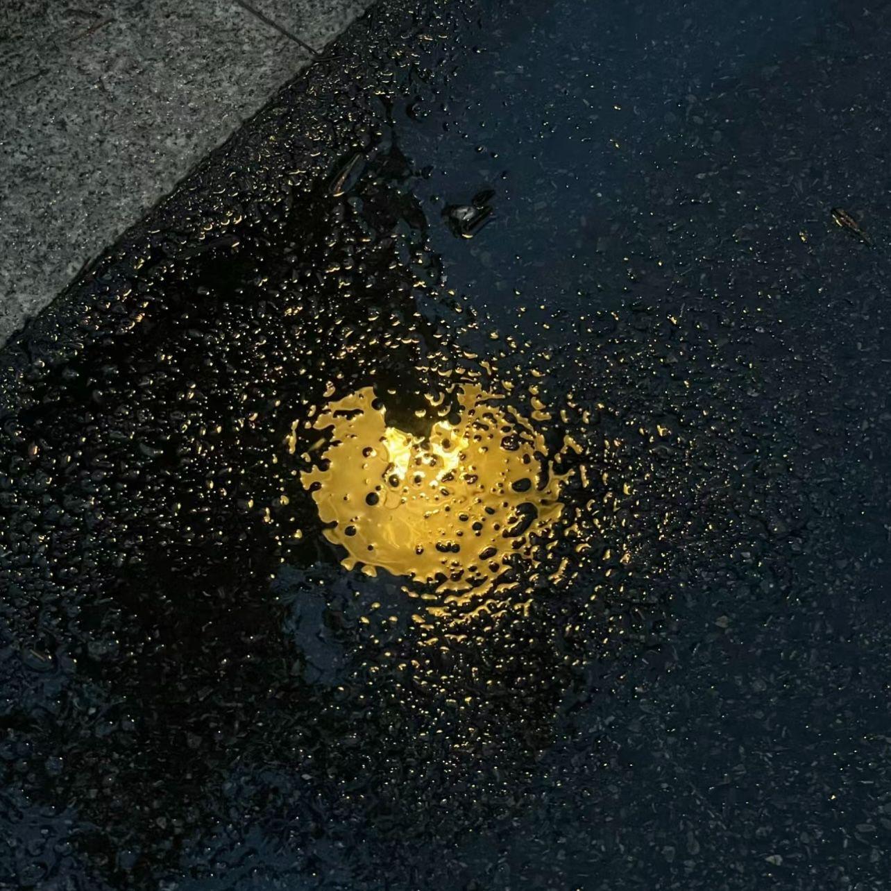 月亮不说话封面