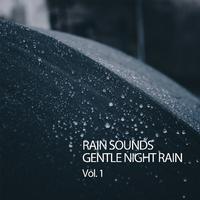 Rain Sounds Gentle Night Rain Vol. 1