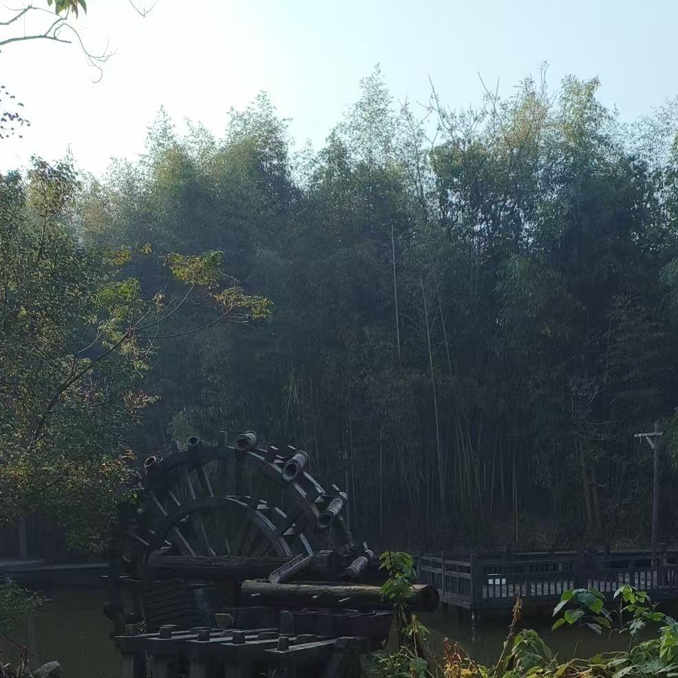 追风少年封面