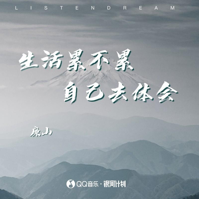 生活累不累自己去体会封面