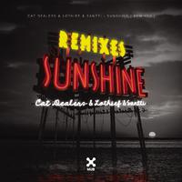 Sunshine (Remixes)