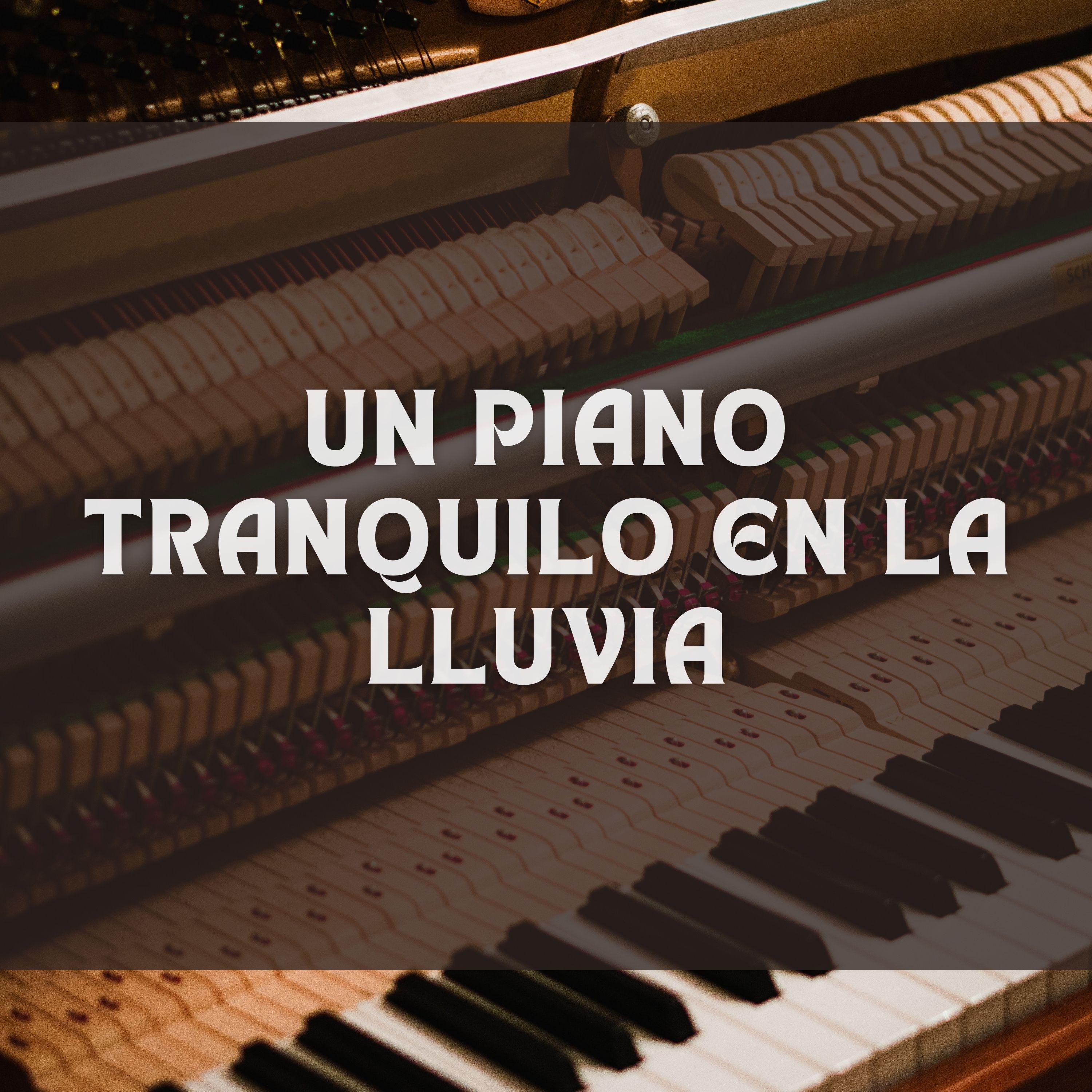 Tiempo Recordado_Academia Jazz Piano Bar_Un Piano Tranquilo En La Lluvia | 在线播放_Tiempo Recordado歌词_Tiempo Recordado下载 | 网易云音乐