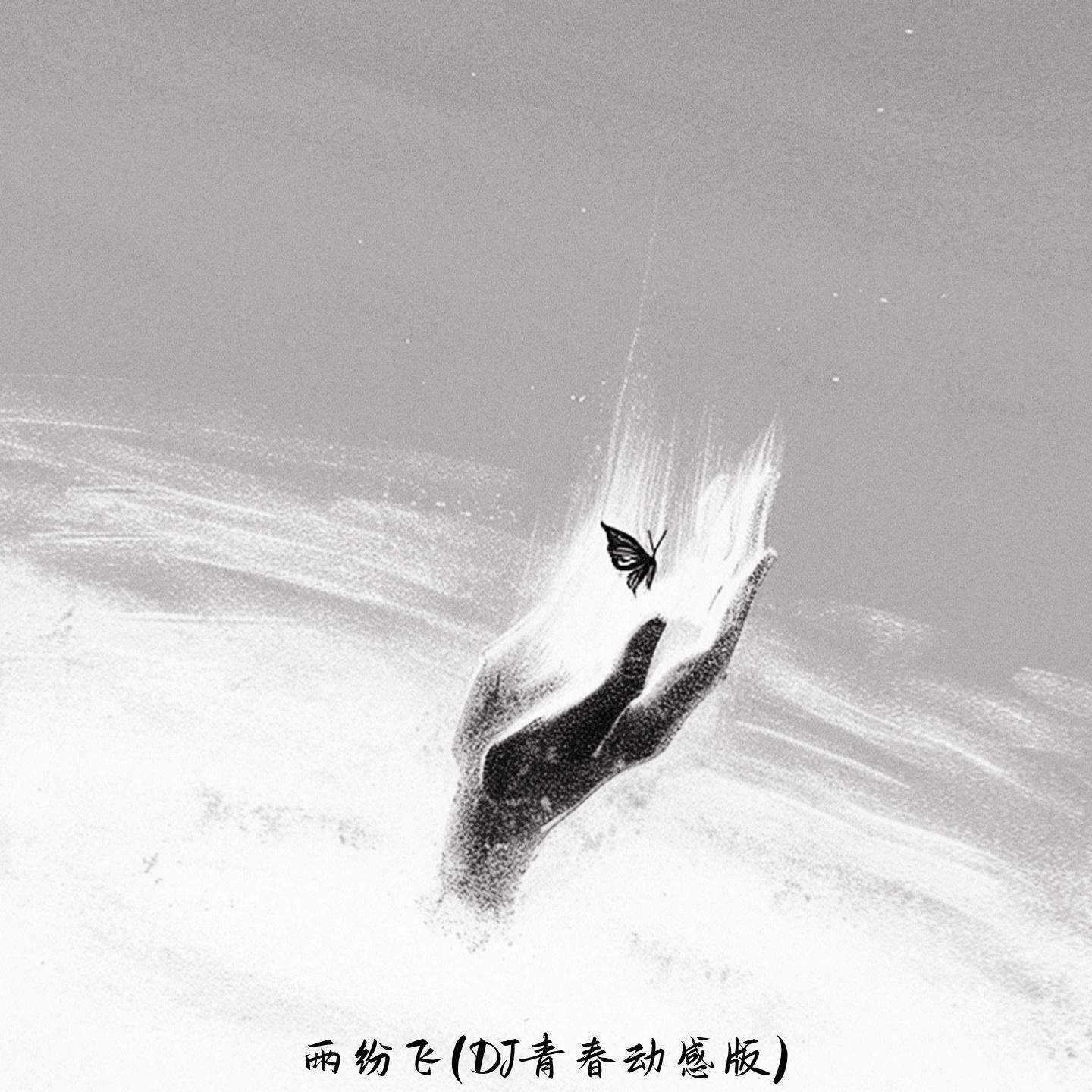 雨纷飞 (DJ版)封面