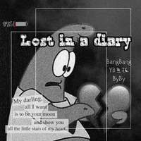 lost in a diary