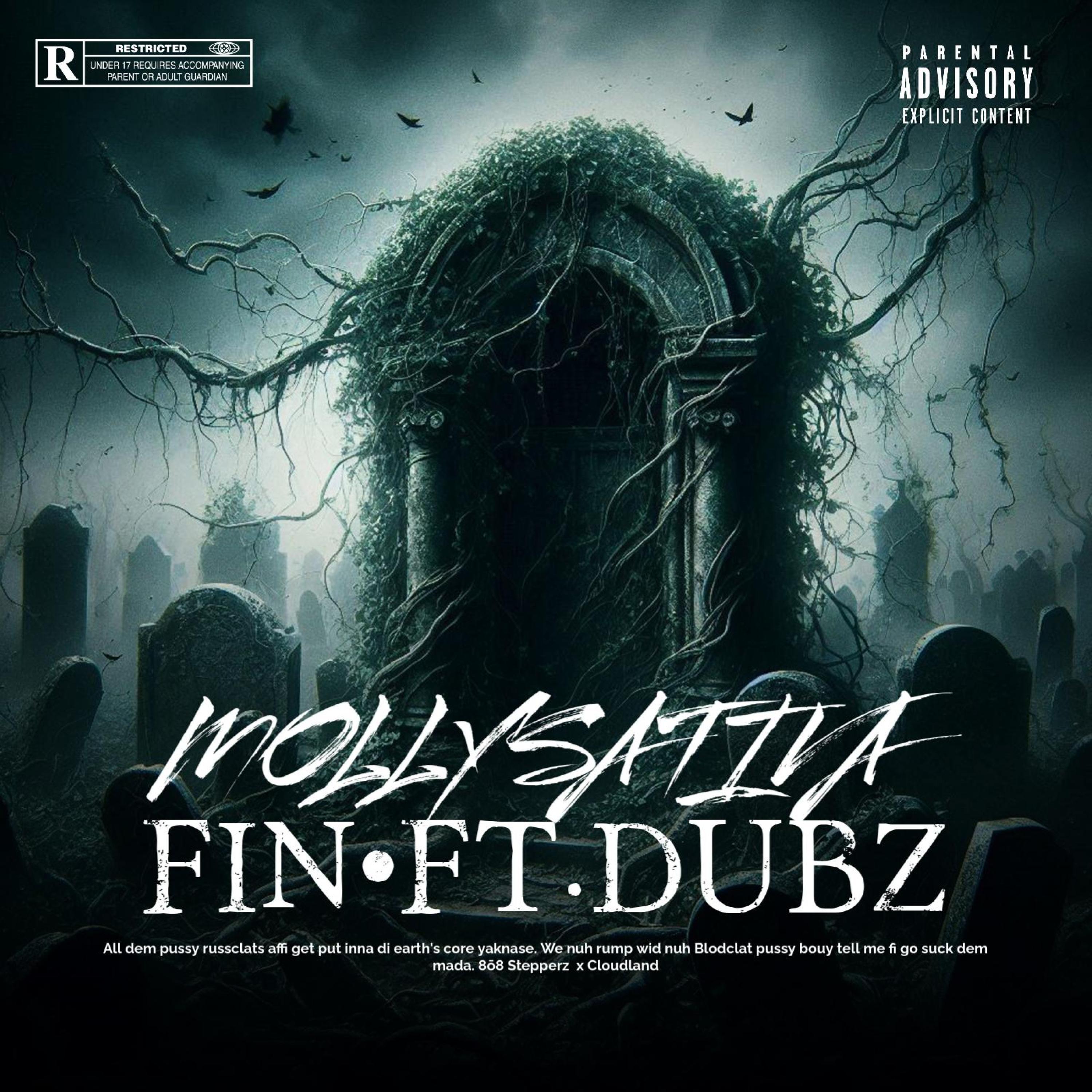 FIN (feat. Dubz)