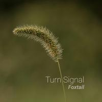 Foxtail