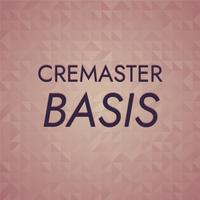 Cremaster Basis