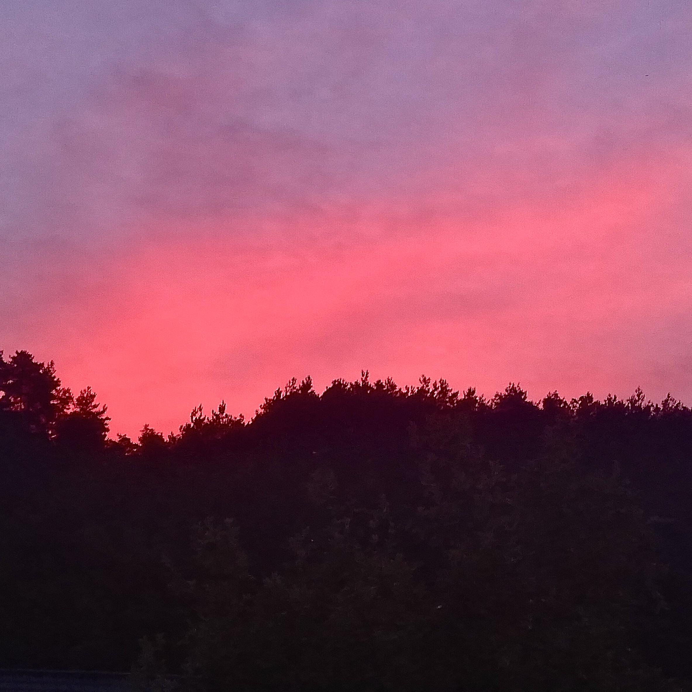 Summer (prod by Rising Beat)