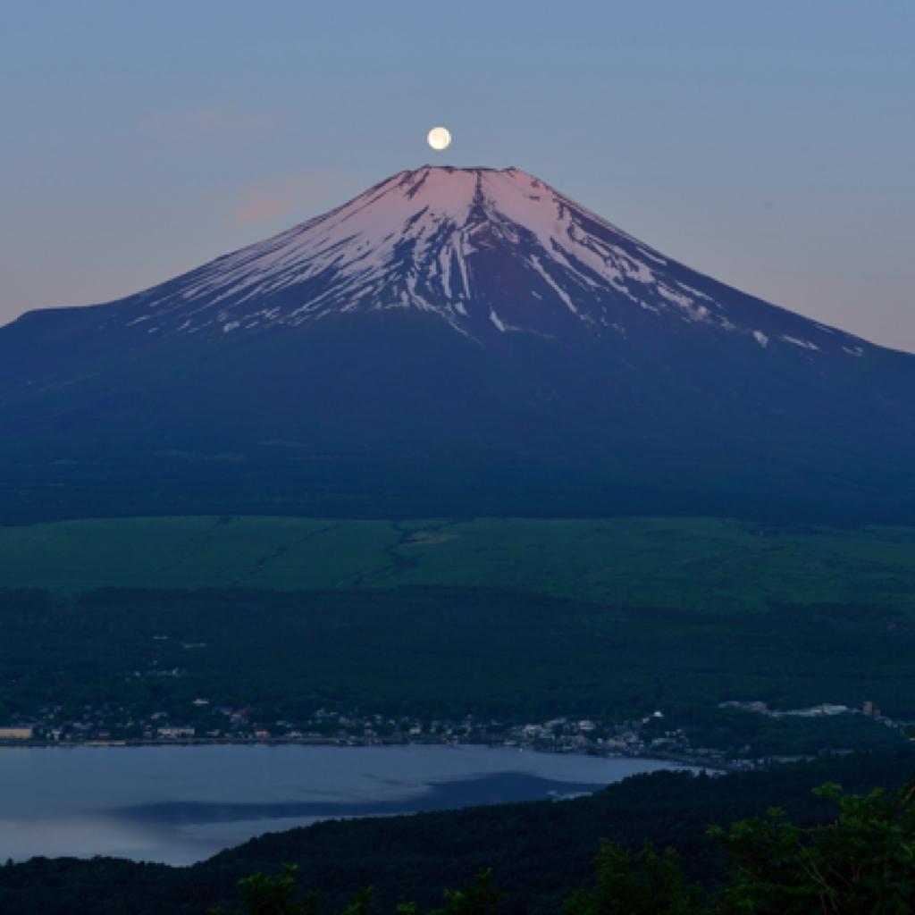 christopher chak/泽日生 作品集