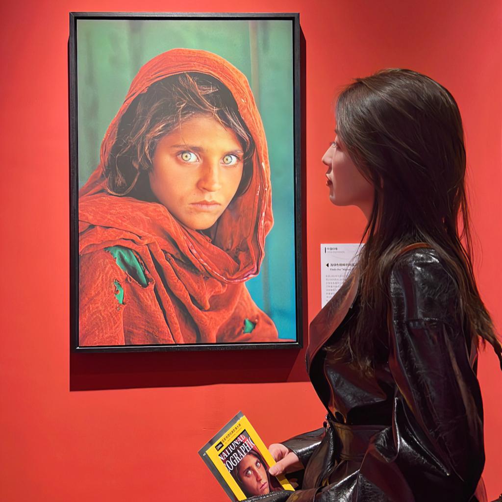 【松弛拉满】世界破破烂烂 音乐缝缝补补