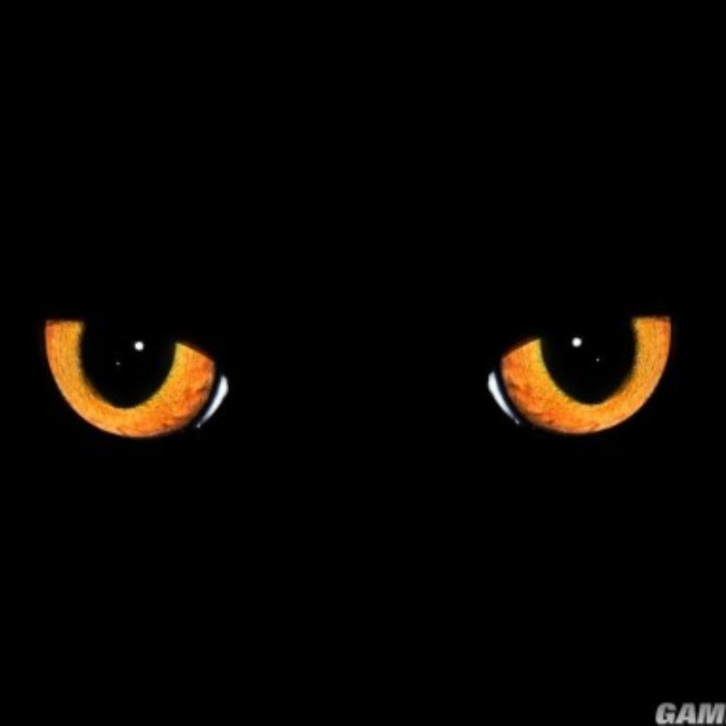 藤蔓从脑中长出