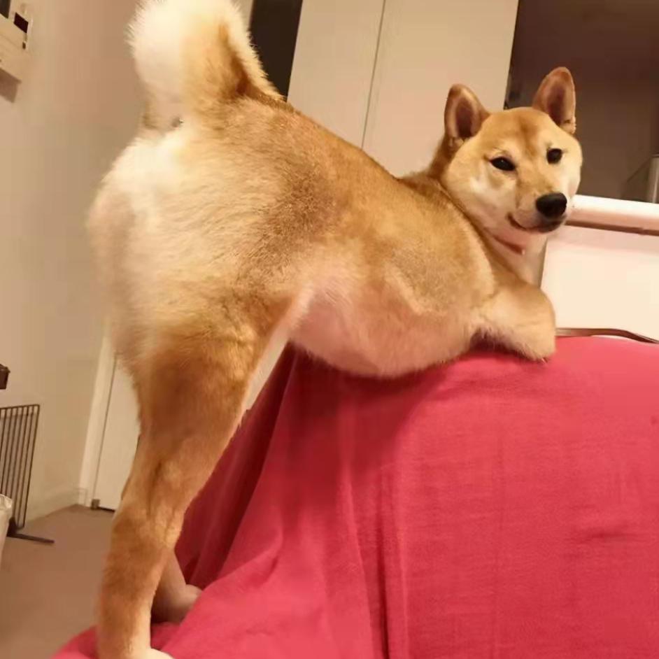 郭富城-对你爱不完（DJ2k7 Vina House Bootleg）