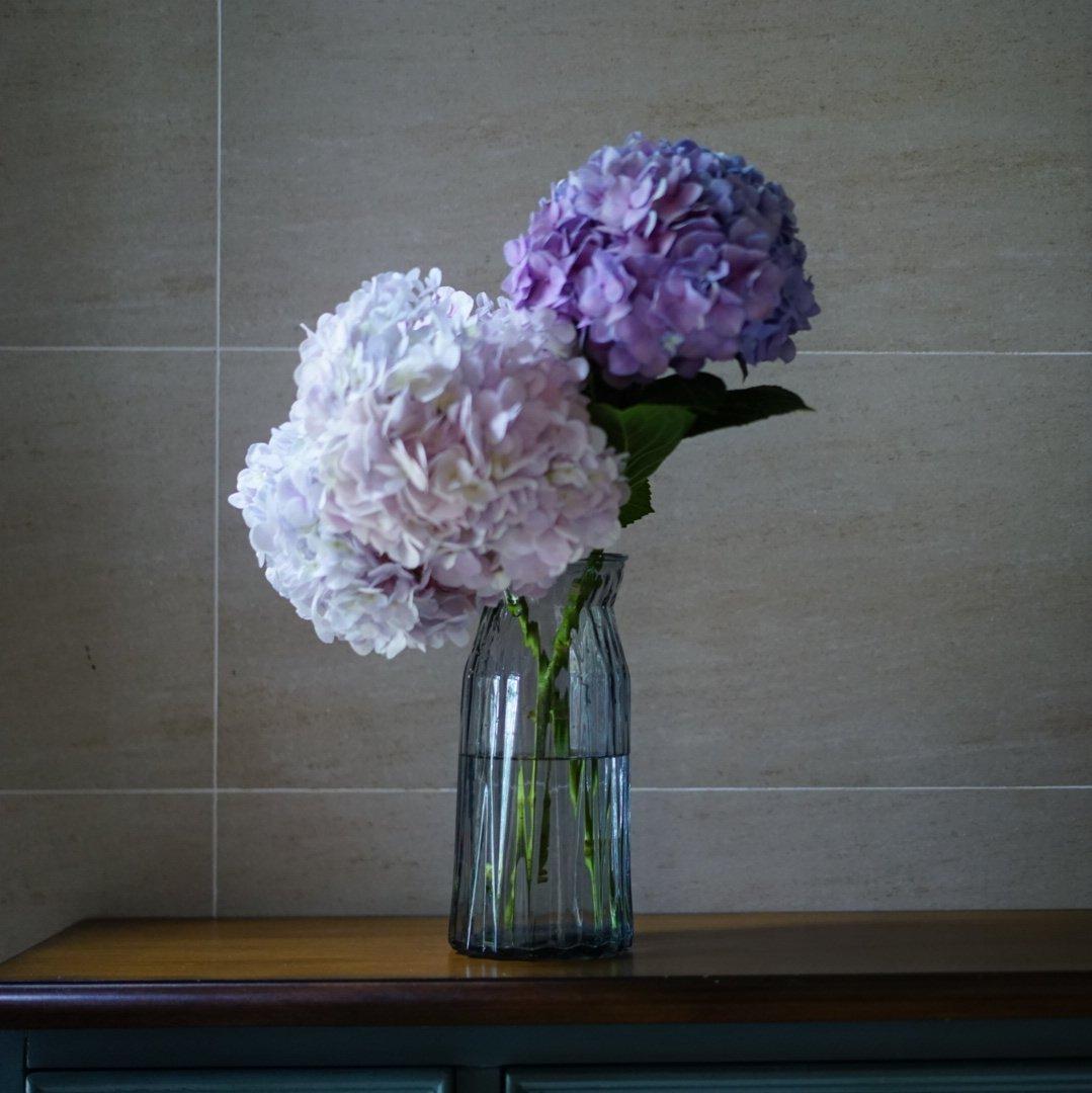 Webb-Mitchell Centre for Choral Studies