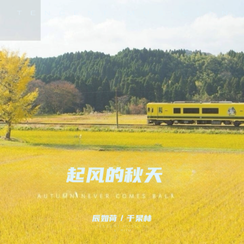 起风的秋天封面
