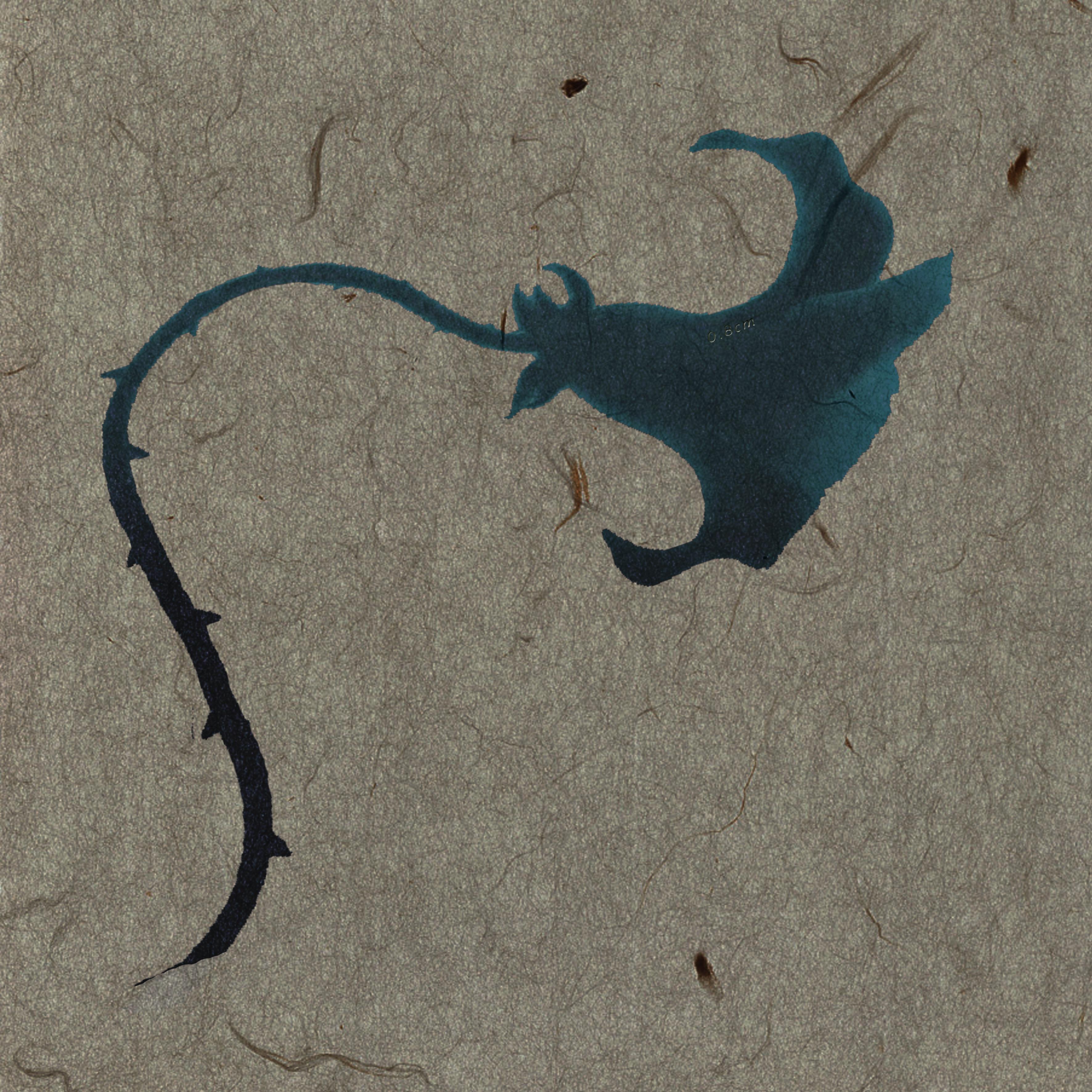 轻舟已过万重山