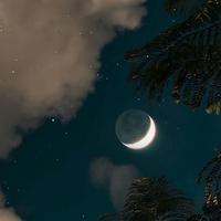 杨志文资料,杨志文最新歌曲,杨志文MV视频,杨志文音乐专辑,杨志文好听的歌