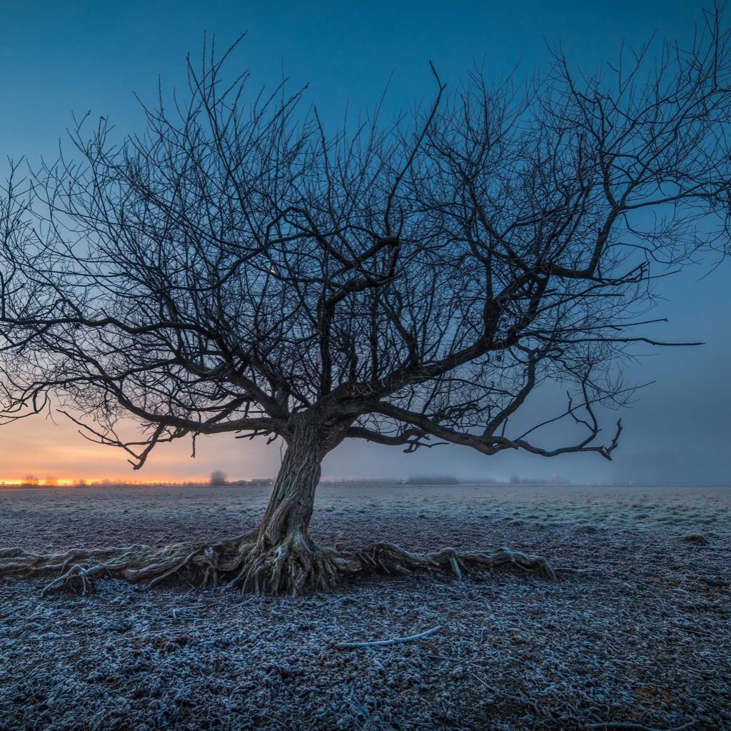 避世之道 | 金属