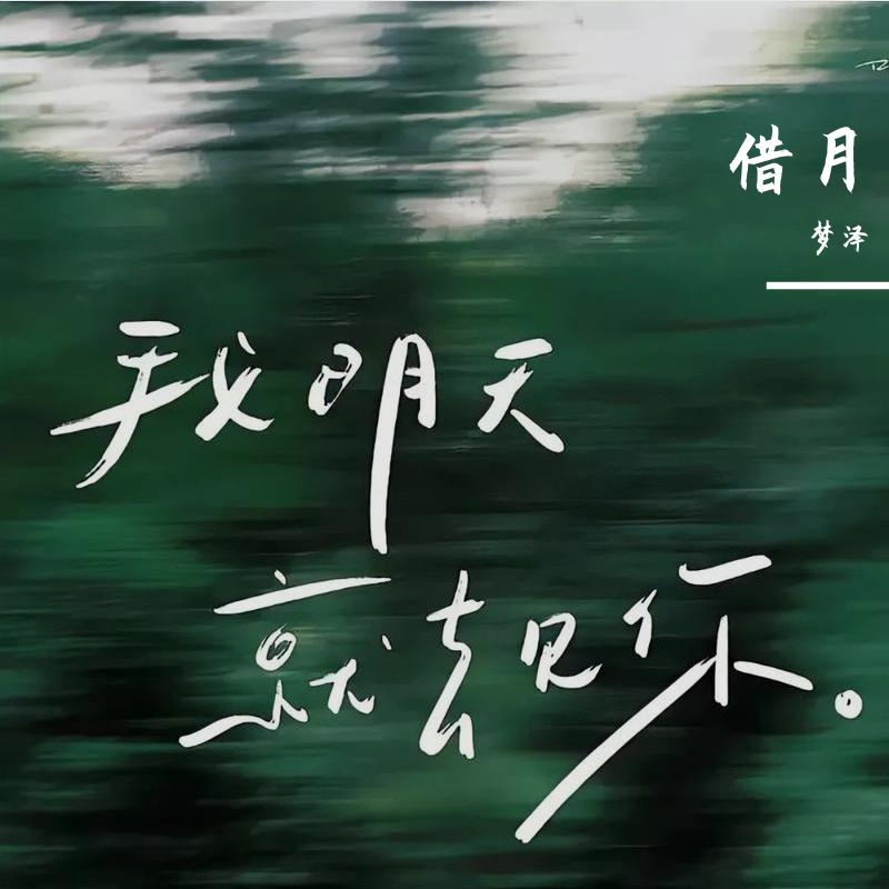 你从未离去封面