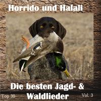 Top 30: Horrido und Halali - Die besten Jagd- & Waldlieder, Vol. 3