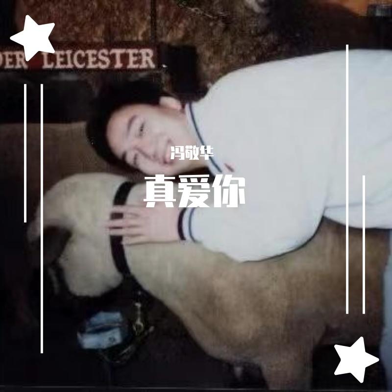 帮我欺骗我封面