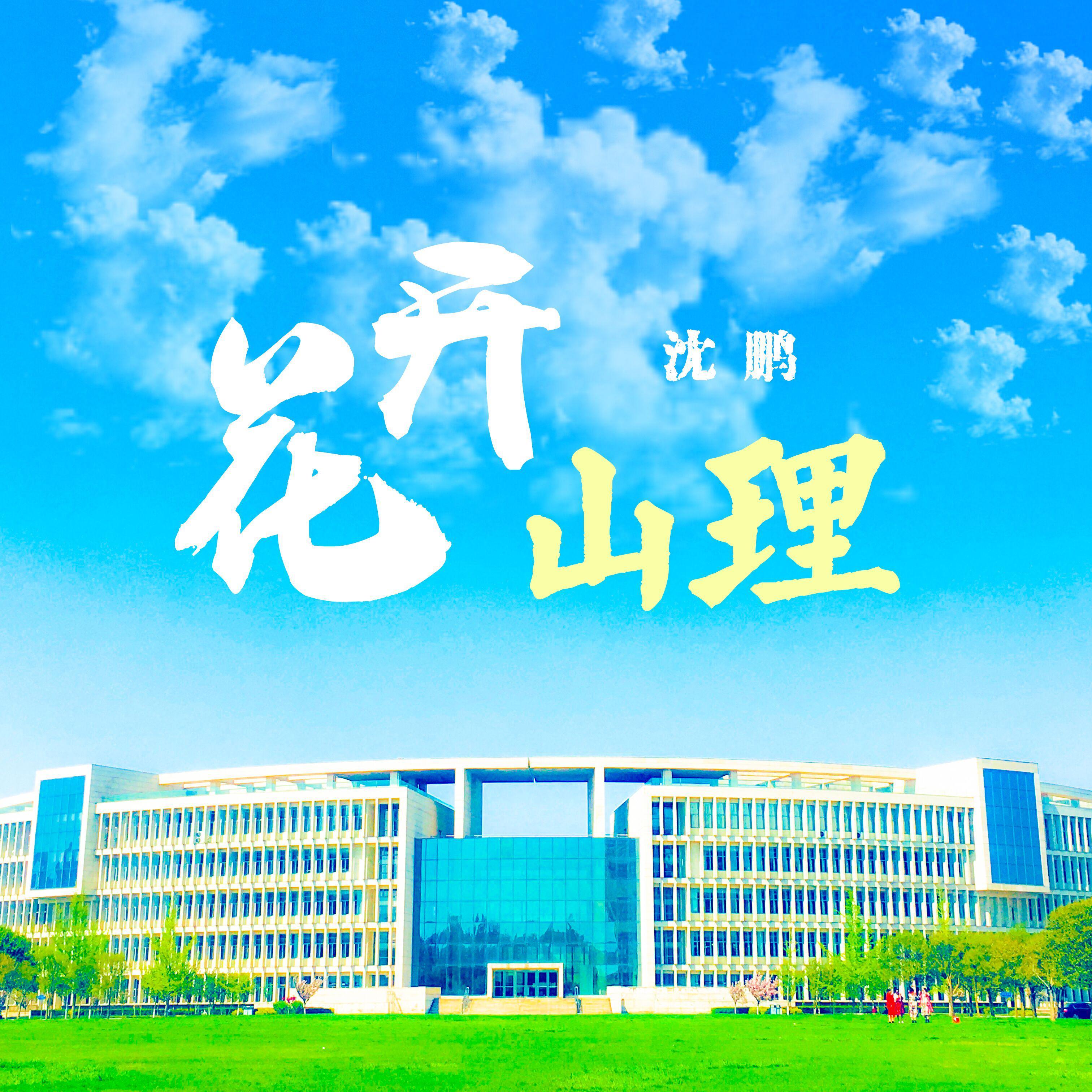 花开山理_沈鹏_花开山理 | 在线播放_花开山理歌词_花开山理下载 | 网易云音乐
